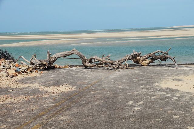 Barra Grande, Cajueiro da Praia