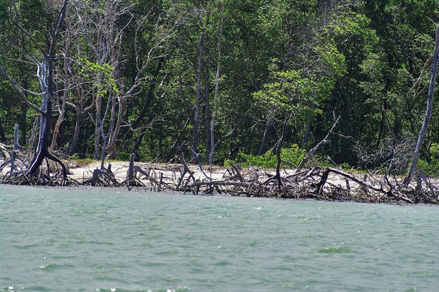 Macapá, Luís Correia